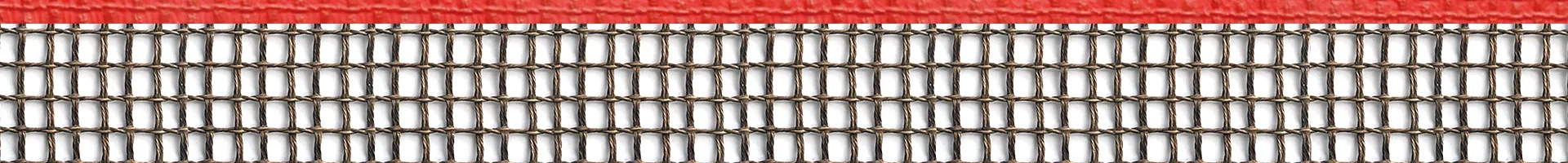 PTFE Mesh Belt
