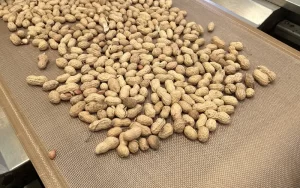 PTFE Conveyor Belts for Microwave Drying Systems-