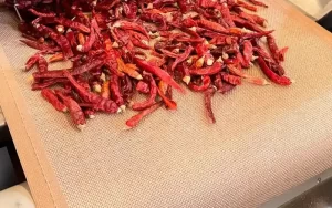 PTFE Conveyor Belts for Microwave Drying Systems-